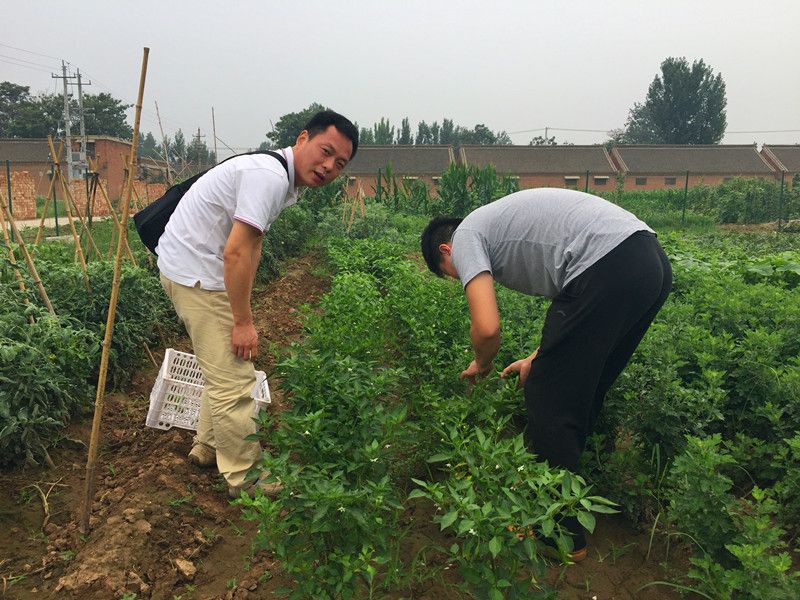 好利來郭總喊您來摘菜啦！綠色無公害，放心！